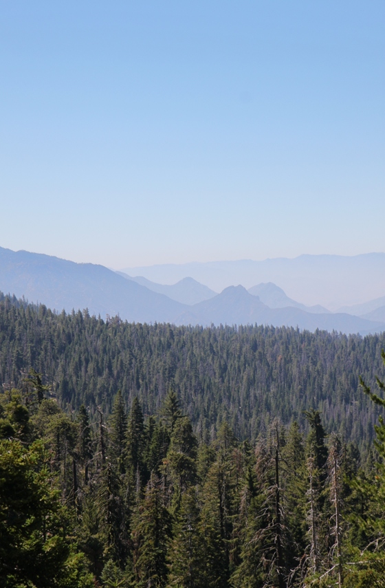 Sequoia National Forest